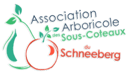Association Schneeberg